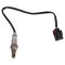 O2 Oxygen Sensor