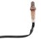 O2 Oxygen Sensor