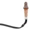 O2 Oxygen Sensor