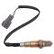 O2 Oxygen Sensor