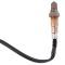 O2 Oxygen Sensor