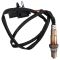 O2 Oxygen Sensor