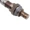 O2 Oxygen Sensor