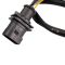 O2 Oxygen Sensor