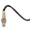 O2 Oxygen Sensor