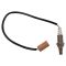 O2 Oxygen Sensor