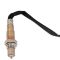 O2 Oxygen Sensor