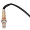 O2 Oxygen Sensor