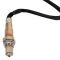 O2 Oxygen Sensor