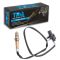 O2 Oxygen Sensor