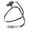 O2 Oxygen Sensor