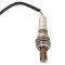 O2 Oxygen Sensor