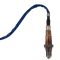 O2 Oxygen Sensor