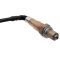 O2 Oxygen Sensor