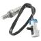 O2 Oxygen Sensor - Delphi