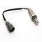 O2 Oxygen Sensor - Delphi