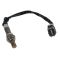 O2 Oxygen Sensor