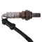 O2 Oxygen Sensor