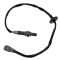 O2 Oxygen Sensor