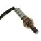 O2 Oxygen Sensor - 4 Wire- 250-24656  (Walker)