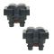 Ignition Coil (Set of 2)