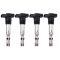 Ignition Coil Set