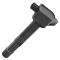 Ignition Coil & Spark Plug Kit