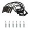 Ignition Coil Kit