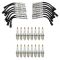 Spark Plugs & Ignition Wires Kit