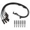 Spark Plugs & Ignition Wires Kit