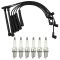 Spark Plugs & Ignition Wires Kit