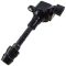 Ignition Coil Kit