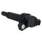 Ignition Coil Kit