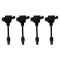 Ignition Coil Set