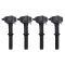 Ignition Coil Set
