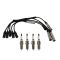 Ignition Kit