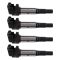 Ignition Coil Set