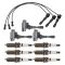 Ignition Kit