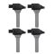 Ignition Coil Set