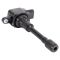 Ignition Coil Set