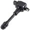 Ignition Coil Set