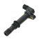 Ignition Coil Set