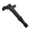 Ignition Coil Set