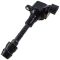 Ignition Coil Set