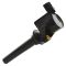 Ignition Coil Set
