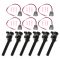 Ignition Coil Set