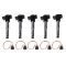 Ignition Coil Set