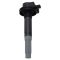 Ignition Coil Set