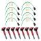Ignition Coil Set