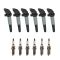 Ignition Kit